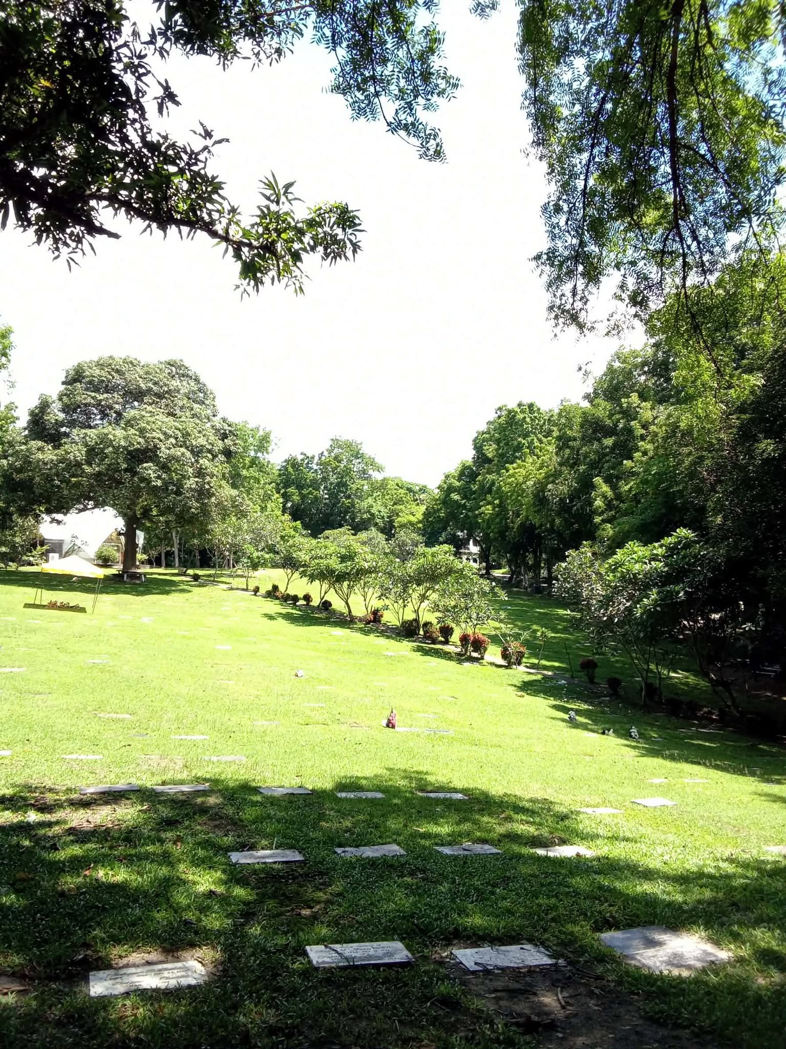 Golden Valley grounds
